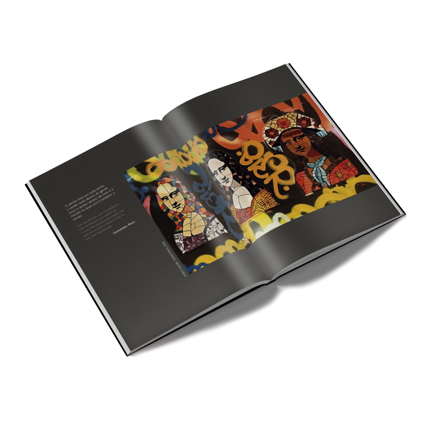Livro Monalisas – Releituras Urbanas