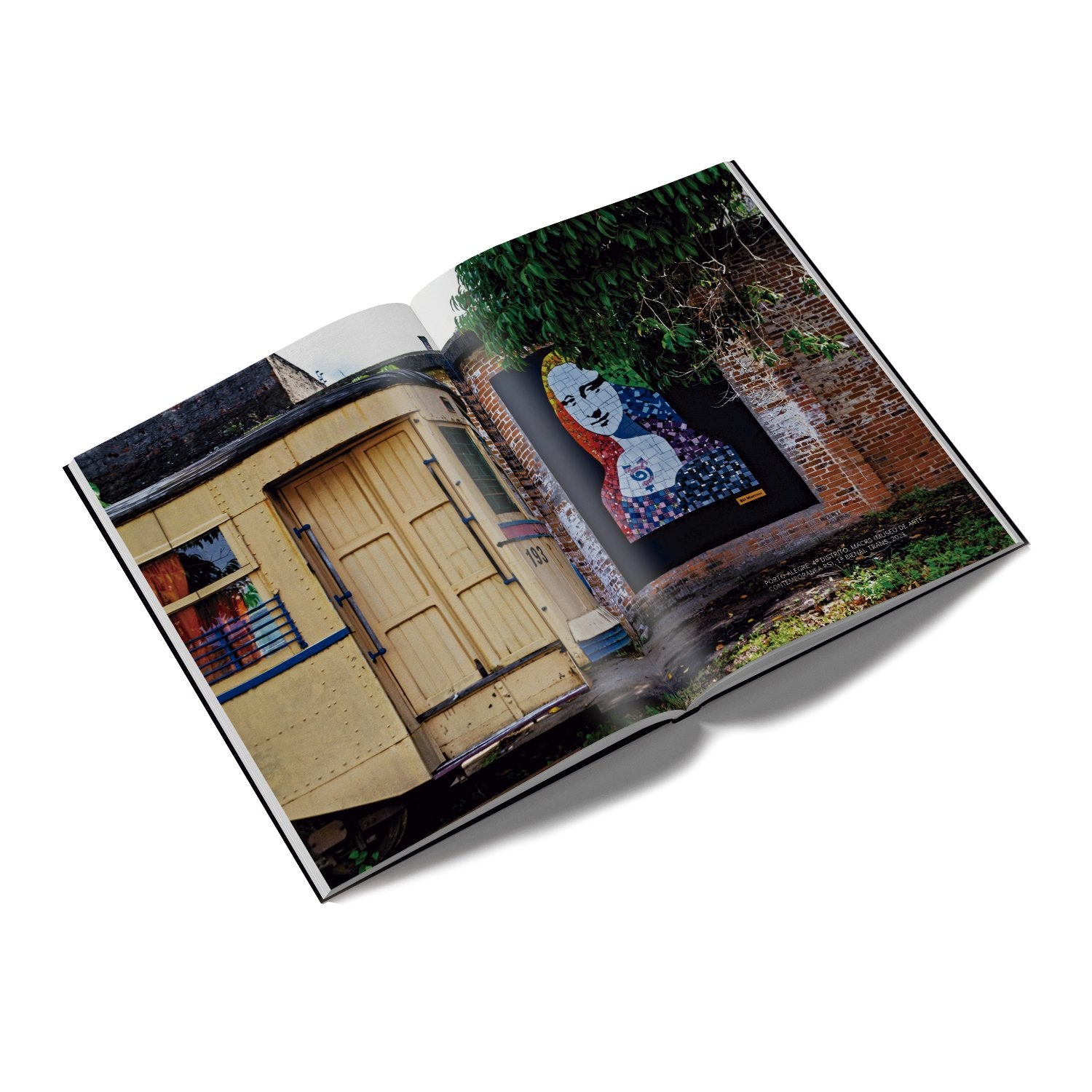 Livro Monalisas – Releituras Urbanas