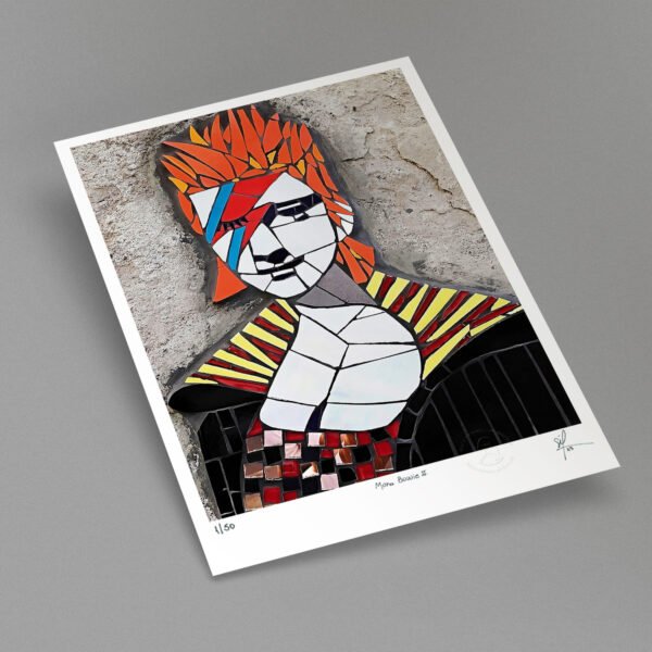 Fine Art Colecionável Mona Bowie II